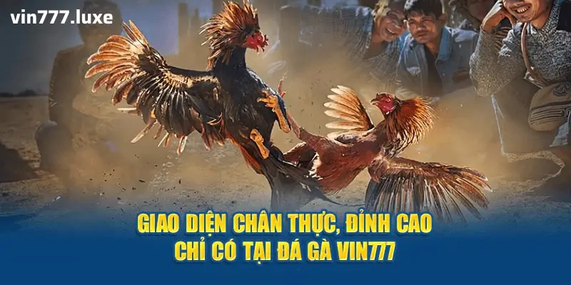  Hứng Khởi Mỗi Giây, Chiến Thắng Mỗi Lượt Cược